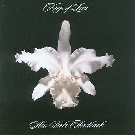 Kings of Leon: Aha Shake Heartbreak (2004)